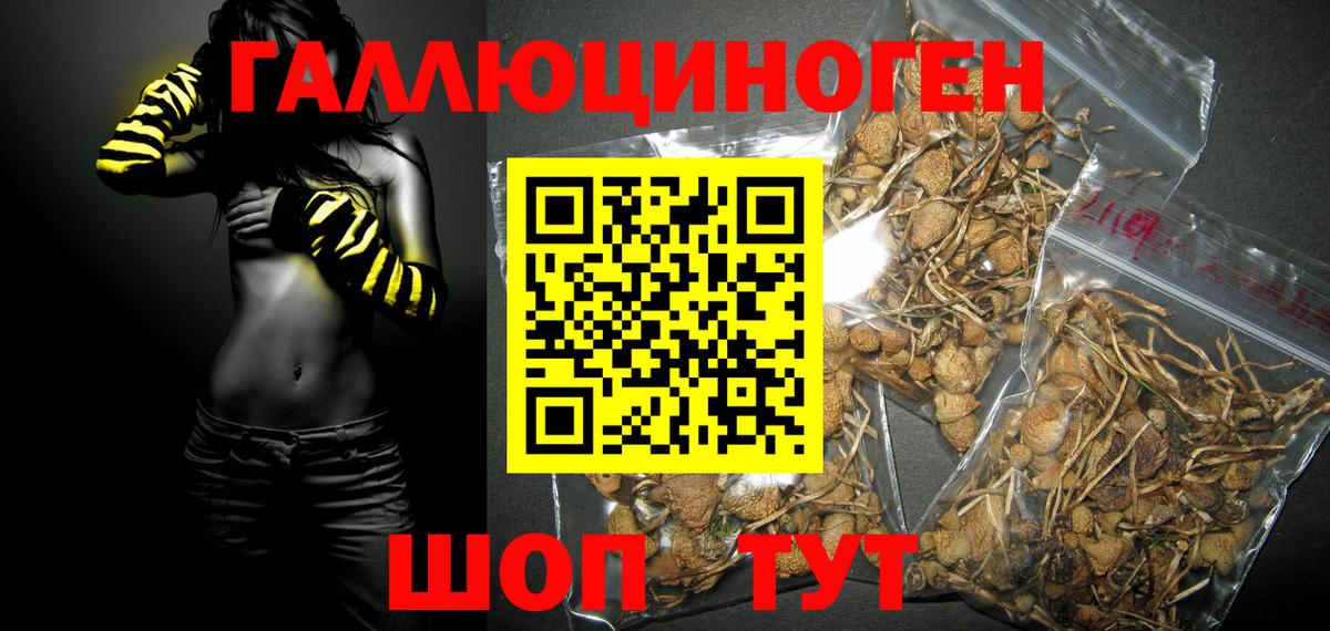 Фурманов  Псилоцибиновые грибы MAGIC MUSHROOMS  Галлюциногенные грибы прущие грибы  Вход с VPN 